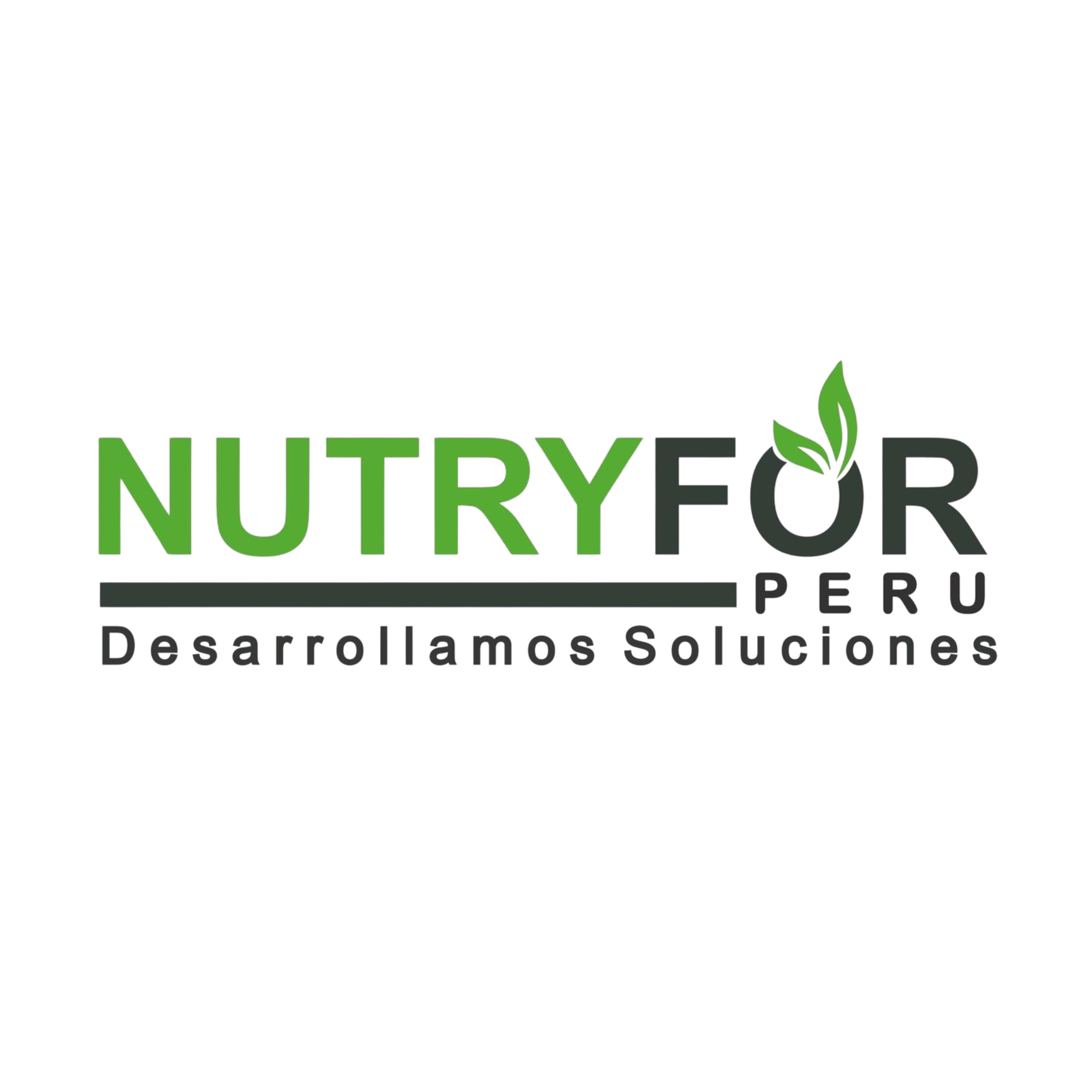 Cliente 7